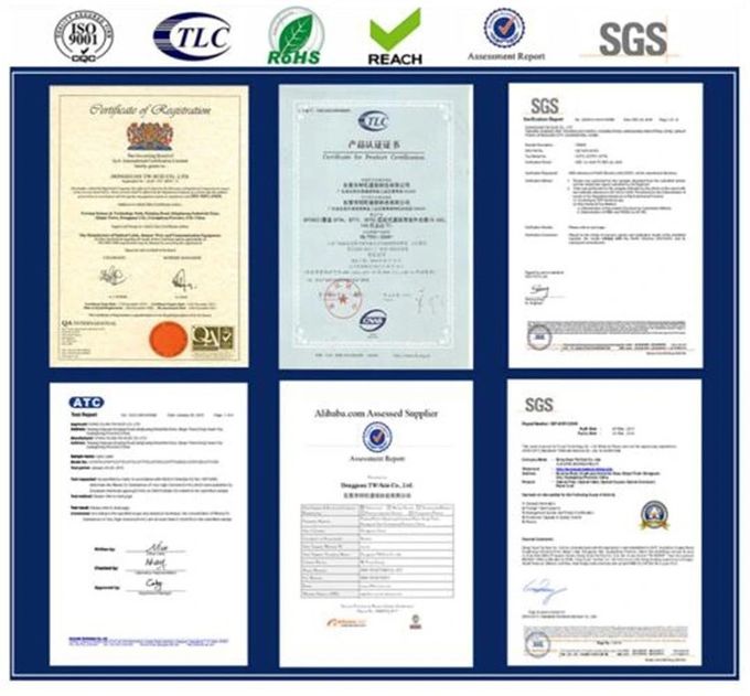 DONGGUAN TW-SCIE CO., LTD. Perfil da Empresa
